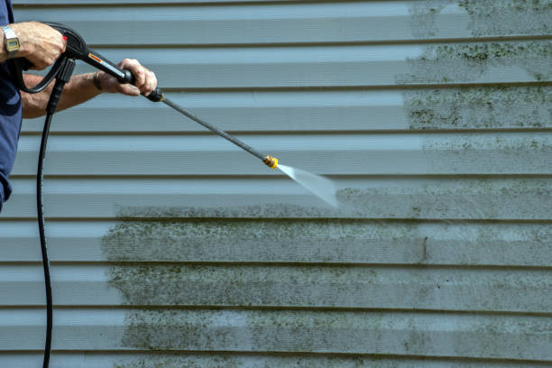 Best Roof Washing  in Elmer, NJ