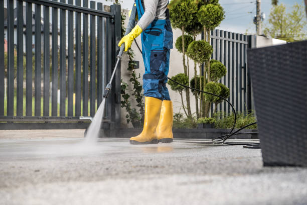 Best Driveway Pressure Washing  in Elmer, NJ
